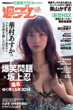 漂亮女局长全文